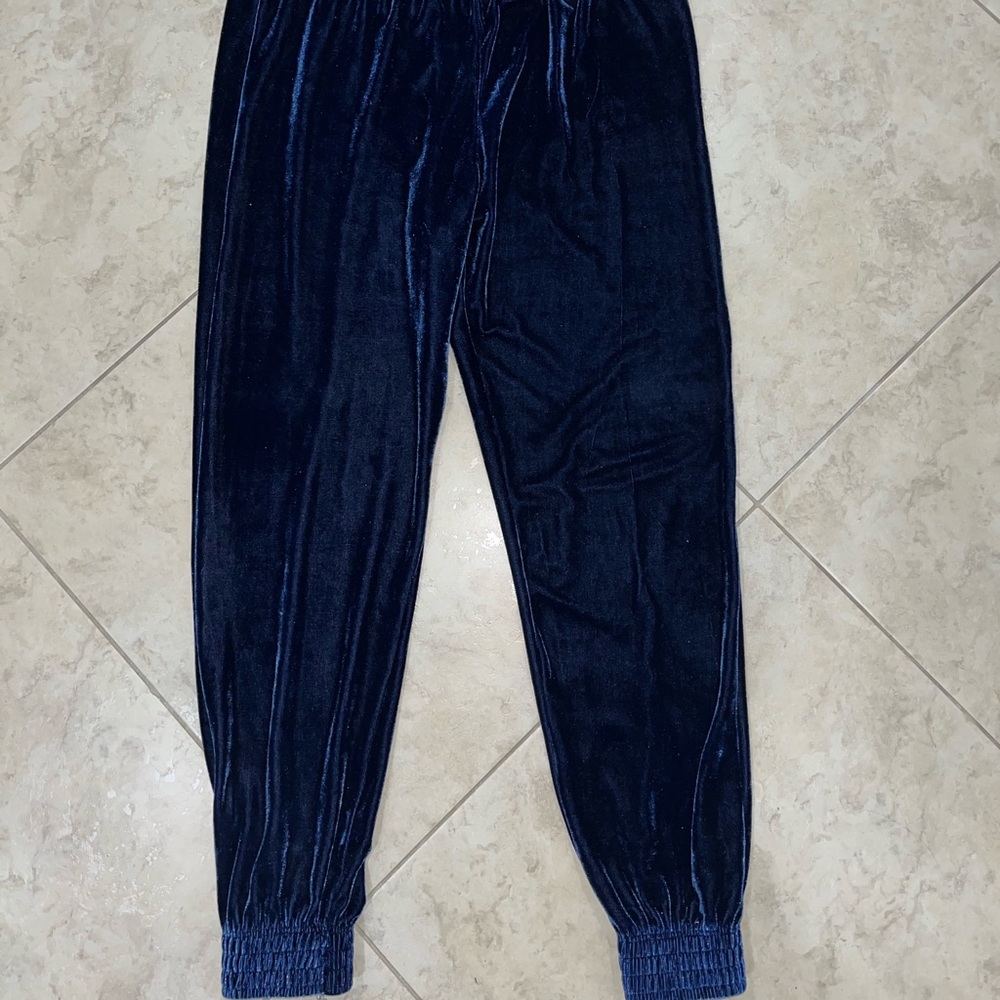 Hoodies: Blue Velvet Sweatpants, Size L, No Pockets, Elastic Waist/Ankle
